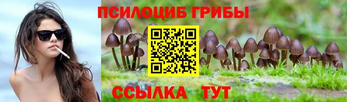 Керчь  Псилоцибиновые грибы Cubensis  Вход с VPN 